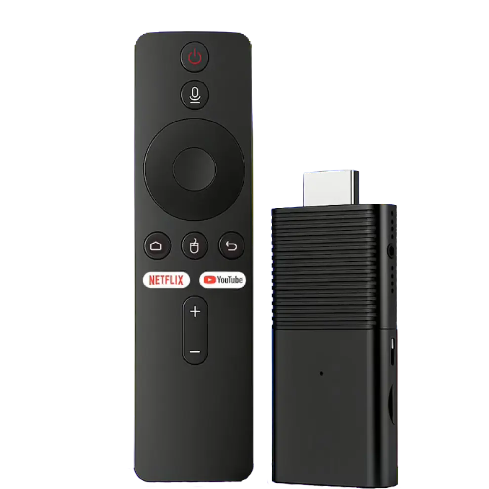 Flix Stick