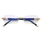 VisionPro℠