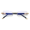 VisionPro®