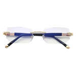 Vision-Pro®