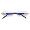Vision-Pro®