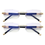 Vision-Pro®
